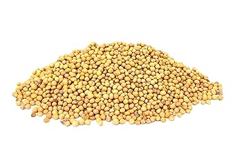 The Mustard Seeds☆Mustard Seeds Mccormick Yellow Mustard Seed - 1.4 Ounce - Brookshire's